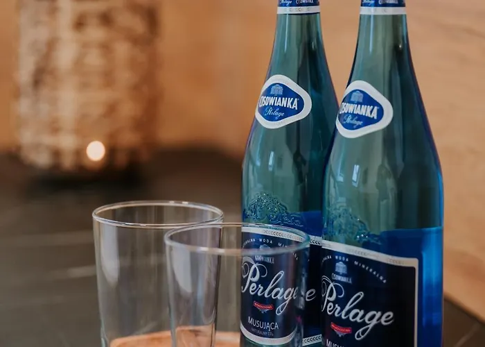 Penzion Kwatera W Lesniczowce Czarne 3*